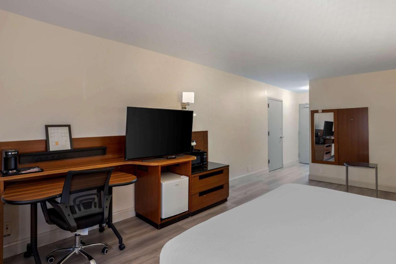 Standard Double Room with Two Double Beds - Non Smoking