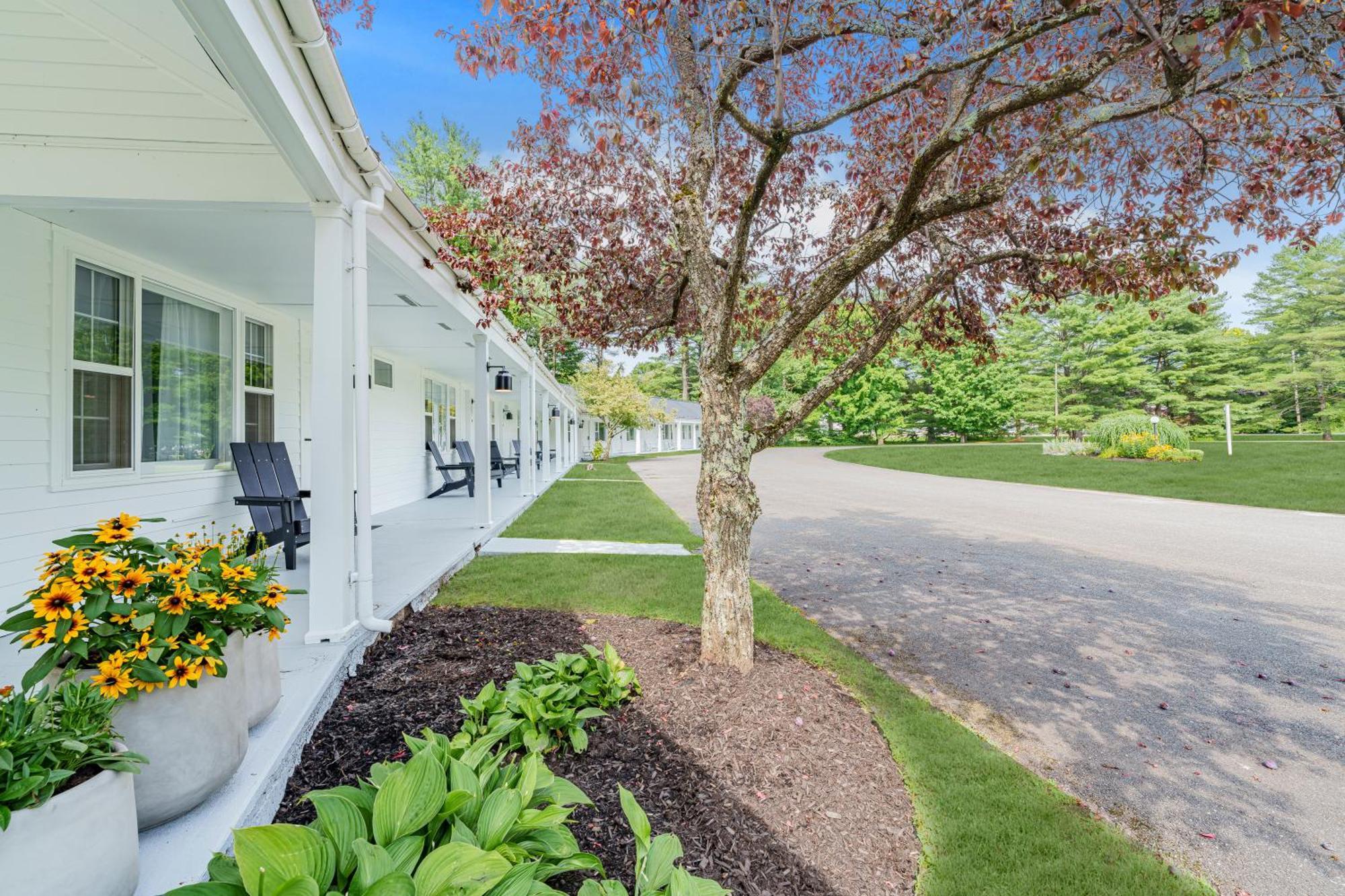 Deluxe King Suite,1608314452:JPEG