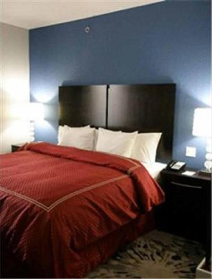 King Suite with Sofa Bed - Non-Smoking