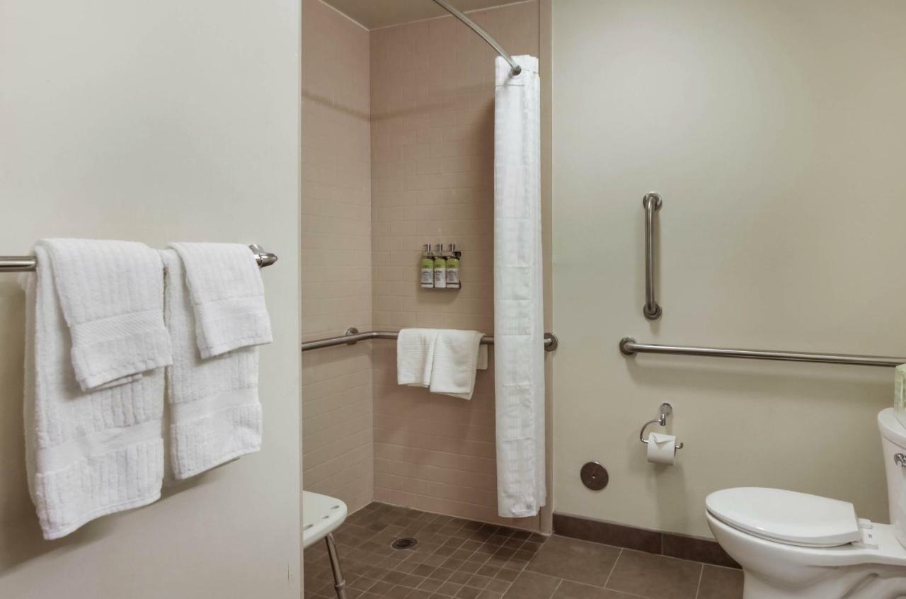 Queen Studio Suite - Disability Access