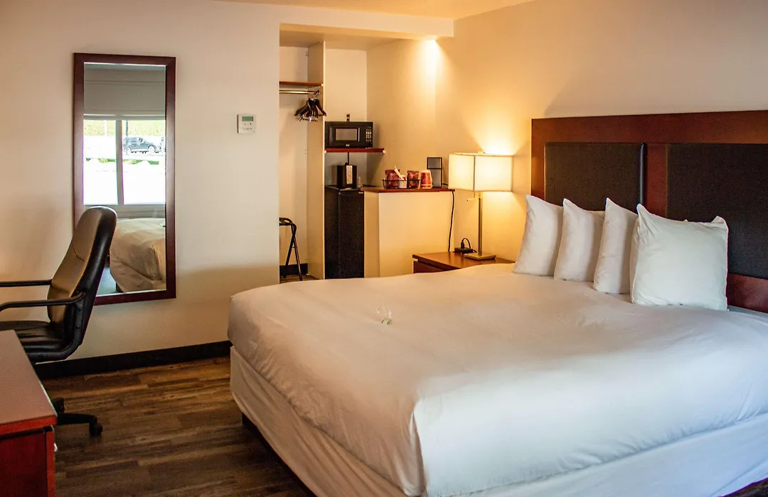 Comfort Inn & Suites-1