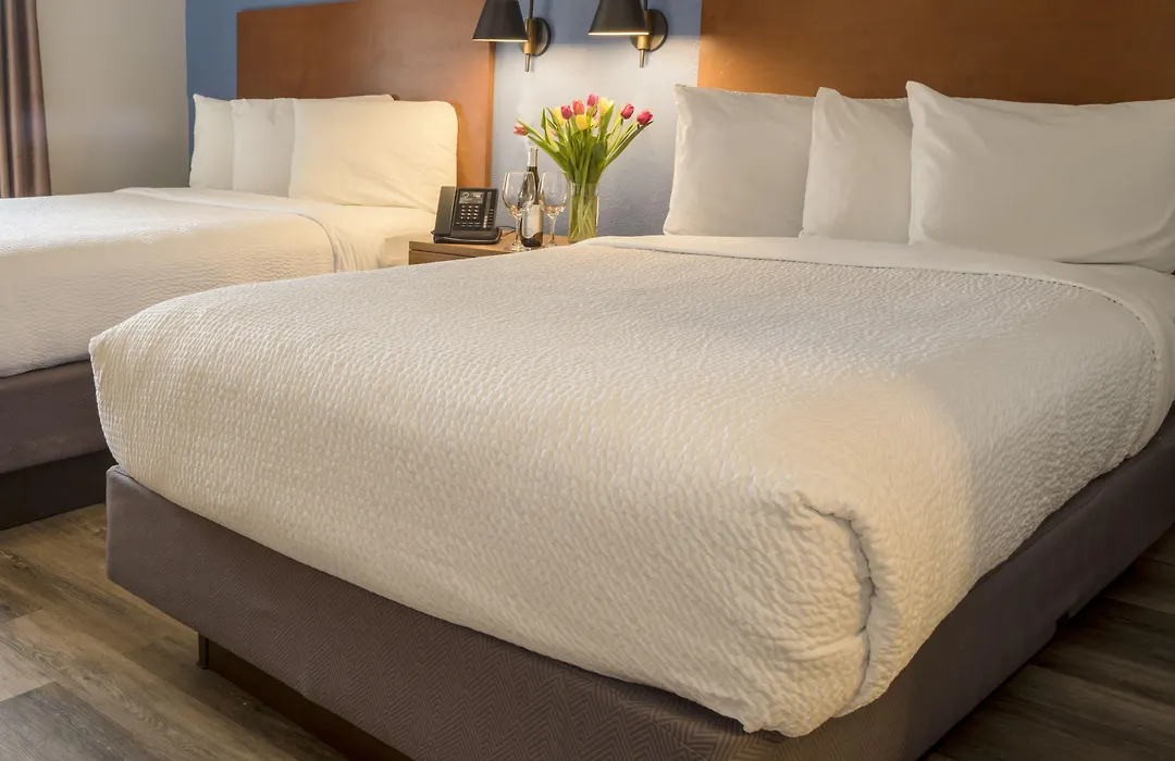 Hotel Focus Sfo-1