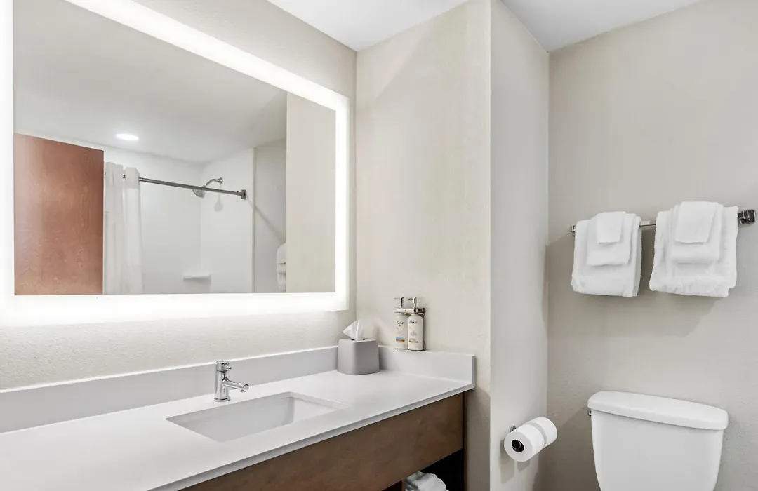 Holiday Inn Express Hotel & Suites Savannah Midtown By Ihg-1