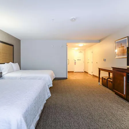 Hampton Inn Brighton Mi-3