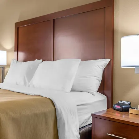 Comfort Inn Collinsville Near St Louis-3