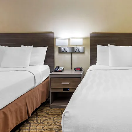 Best Western Danville Inn-3