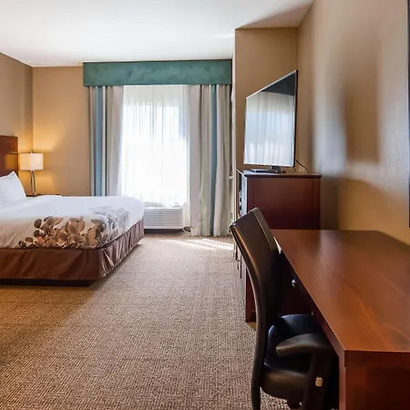 Best Western Dothan Inn & Suites-3