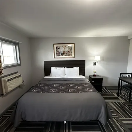 Relax Inn - Saginaw-3