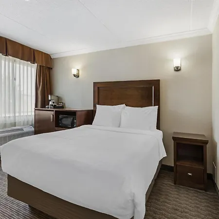 Best Western Plus Dryden Hotel And Conference Centre-2