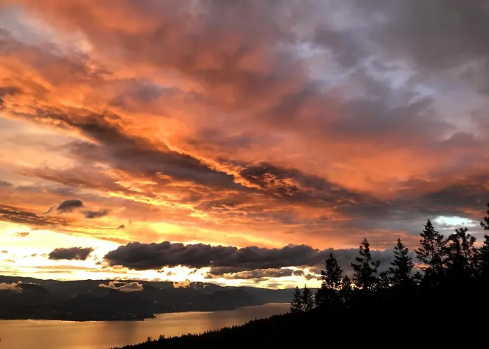 Crooked Tree Guest Suites Penticton
